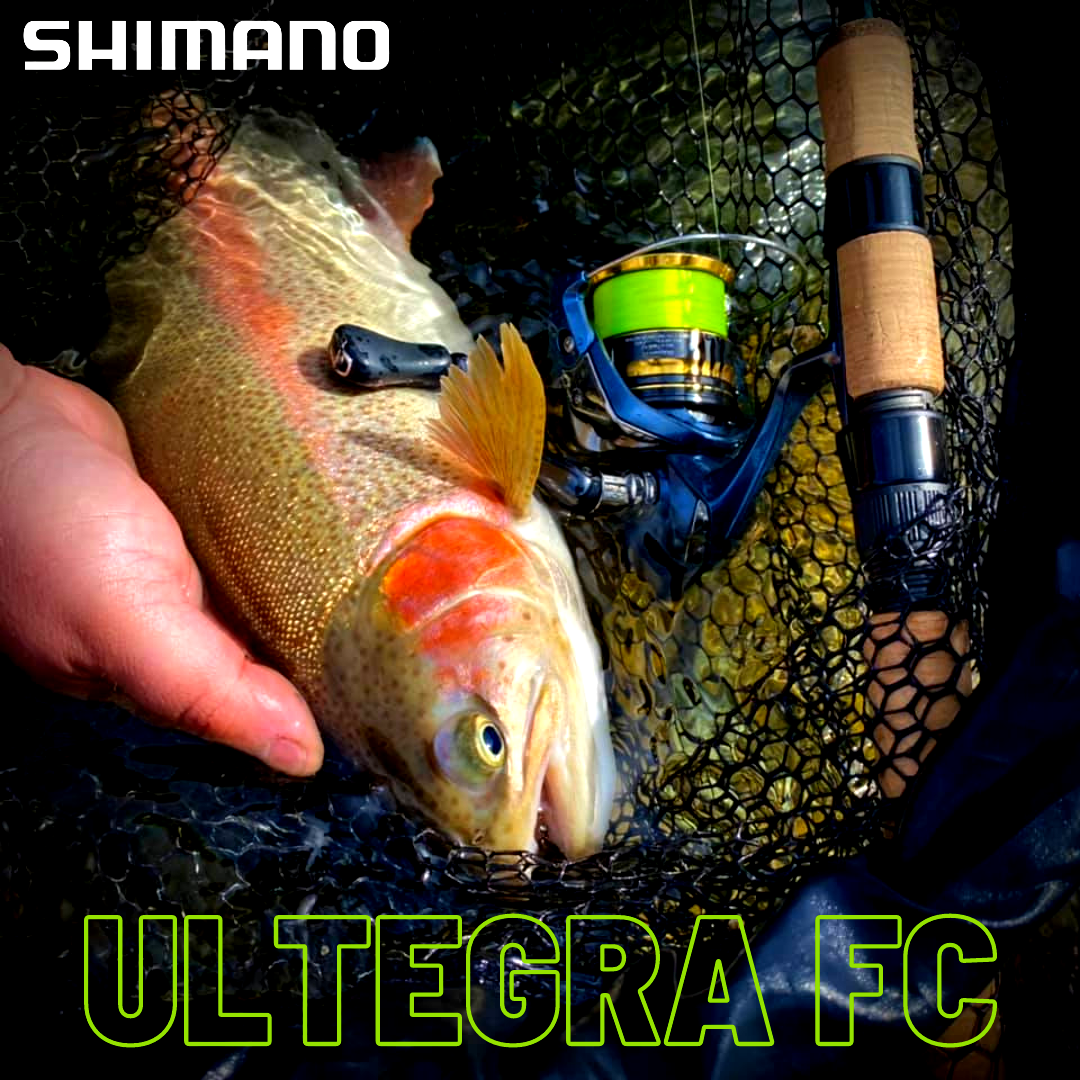 Navijak Shimano Ultegra FC C3000 XG